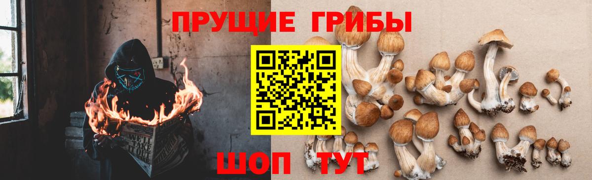 Псилоцибиновые грибы Cubensis  Вход с VPN  Псилоцибиновые грибы Psilocybe  Ульяновск 